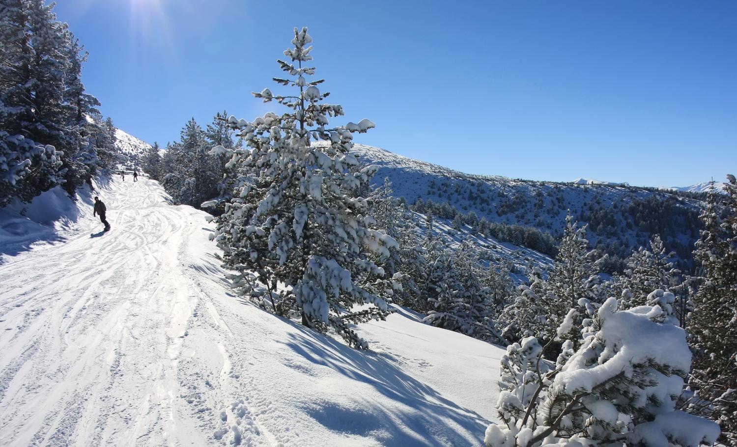 Pm Services Borovets Garden Apartments Bagian luar foto