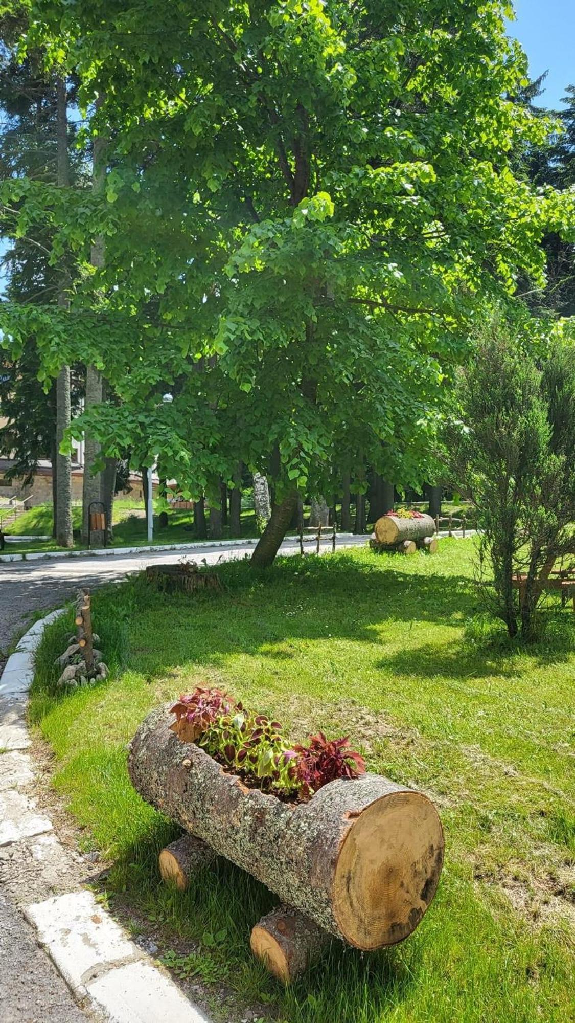 Pm Services Borovets Garden Apartments Bagian luar foto